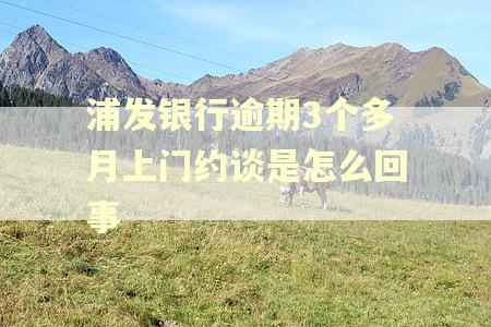 浦发银行逾期3个多月上门约谈是怎么回事