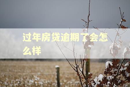 过年房贷逾期了会怎么样