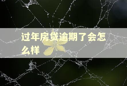 过年房贷逾期了会怎么样 过年房贷逾期了会怎么样