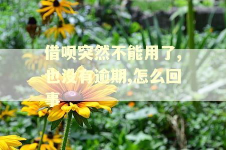 借呗突然不能用了,也没有逾期,怎么回事