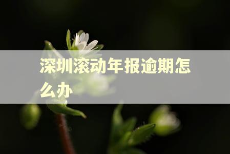 深圳滚动年报逾期怎么办