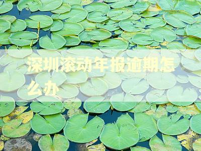 深圳滚动年报逾期怎么办