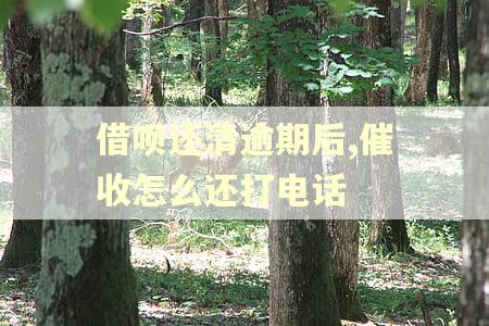 借呗还清逾期后,催收怎么还打电话