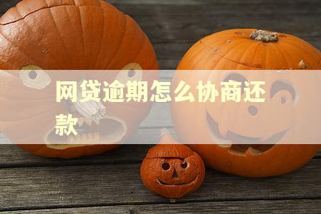网贷逾期怎么协商还款