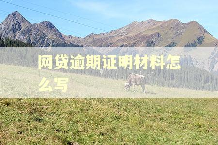 网贷逾期证明材料怎么写 网贷逾期证明材料怎么写