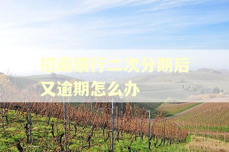 招商银行二次分期后又逾期怎么办 招商银行二次分期后又逾期怎么办