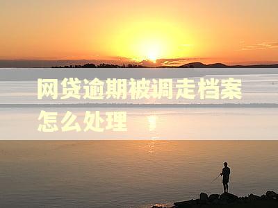 网贷逾期被调走档案怎么处理