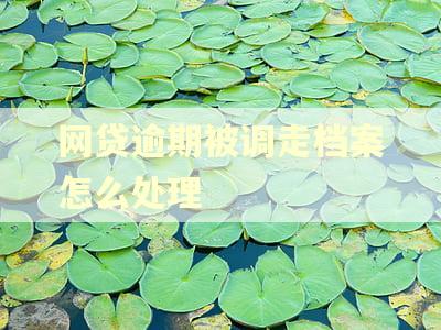 网贷逾期被调走档案怎么处理