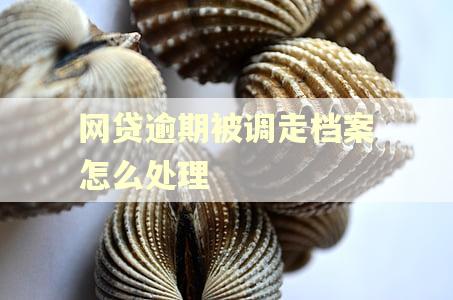 网贷逾期被调走档案怎么处理