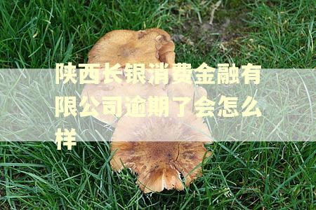 陕西长银消费金融有限公司逾期了会怎么样