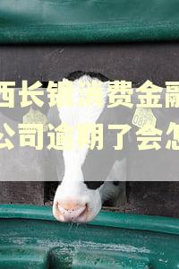 陕西长银消费金融有限公司逾期了会怎么样