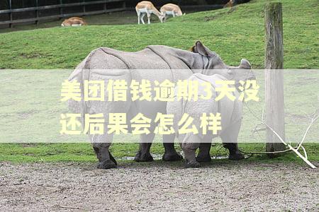 美团借钱逾期3天没还后果会怎么样