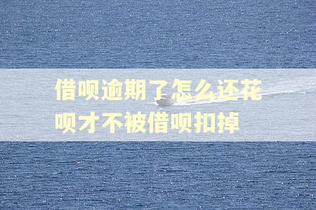 借呗逾期了怎么还花呗才不被借呗扣掉