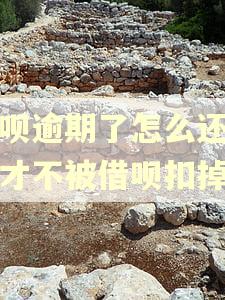 借呗逾期了怎么还花呗才不被借呗扣掉 借呗逾期了怎么还花呗才不被借呗扣掉