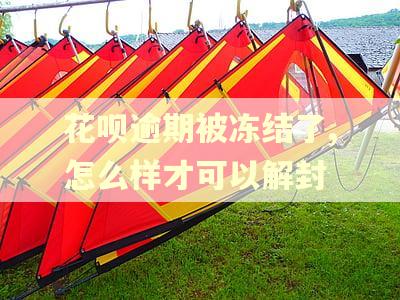 花呗逾期被冻结了,怎么样才可以解封