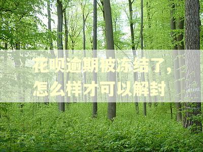 花呗逾期被冻结了,怎么样才可以解封 花呗逾期被冻结了,怎么样才可以解封