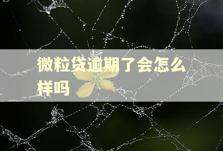 微粒贷逾期了会怎么样吗