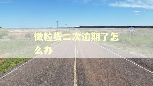 微粒贷二次逾期了怎么办