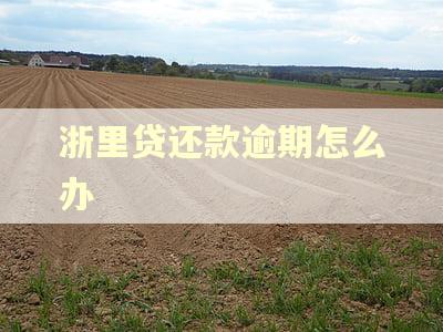 浙里贷还款逾期怎么办