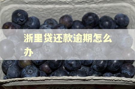 浙里贷还款逾期怎么办