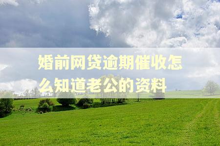 婚前网贷逾期催收怎么知道老公的资料