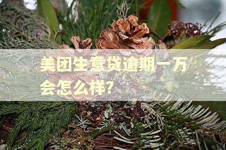 美团生意贷逾期一万会怎么样？