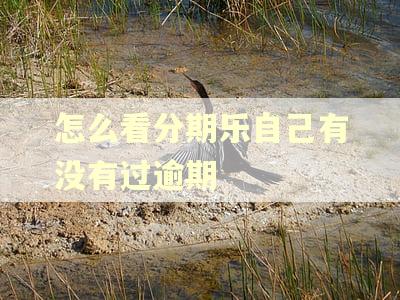 怎么看分期乐自己有没有过逾期 怎么看分期乐自己有没有过逾期