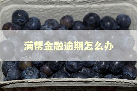 满帮金融逾期怎么办