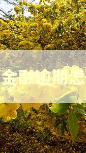 满帮金融逾期怎么办