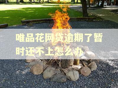 唯品花网贷逾期了暂时还不上怎么办