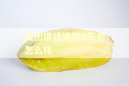 美团借钱逾期2天会怎么样