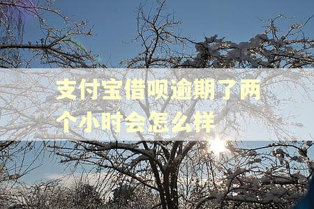支付宝借呗逾期了两个小时会怎么样