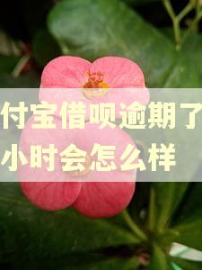 支付宝借呗逾期了两个小时会怎么样