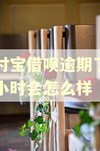 支付宝借呗逾期了两个小时会怎么样