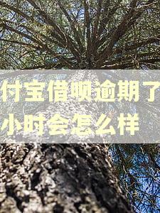 支付宝借呗逾期了两个小时会怎么样