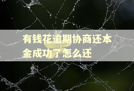 有钱花逾期协商还本金成功了怎么还