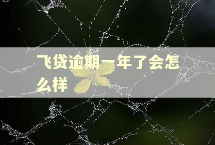 飞贷逾期一年了会怎么样