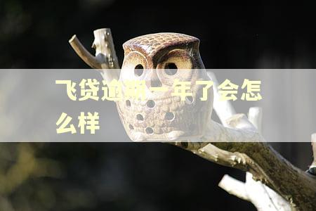飞贷逾期一年了会怎么样 飞贷逾期一年了会怎么样