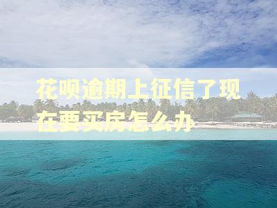 花呗逾期上征信了现在要买房怎么办