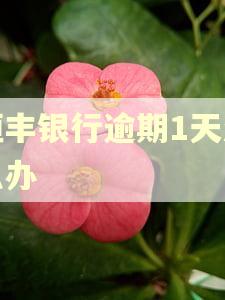 恒丰银行逾期1天怎么办