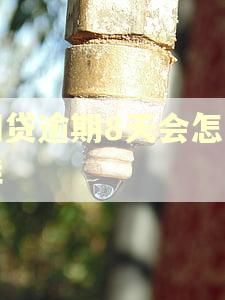 网贷逾期8天会怎么样