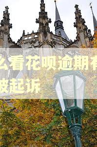 怎么看花呗逾期有没有被起诉