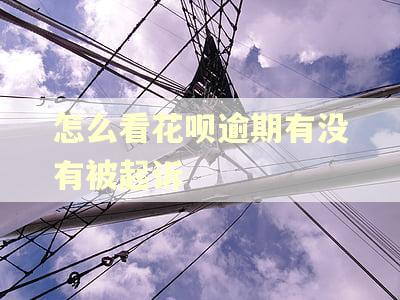 怎么看花呗逾期有没有被起诉 怎么看花呗逾期有没有被起诉