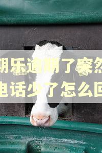 分期乐逾期了突然催收电话少了怎么回事