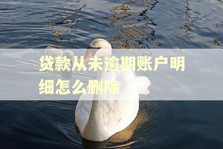 贷款从未逾期账户明细怎么删除