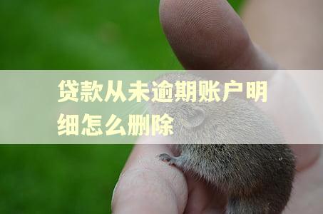 贷款从未逾期账户明细怎么删除