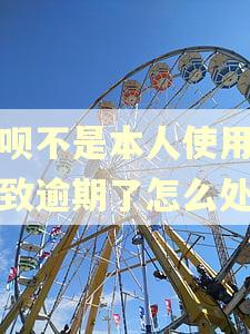 花呗不是本人使用,导致逾期了怎么处理