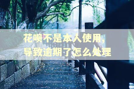 花呗不是本人使用,导致逾期了怎么处理