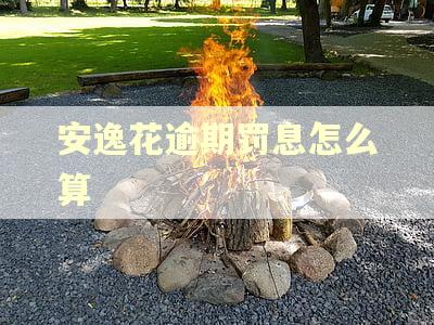 安逸花逾期罚息怎么算 安逸花逾期罚息怎么算