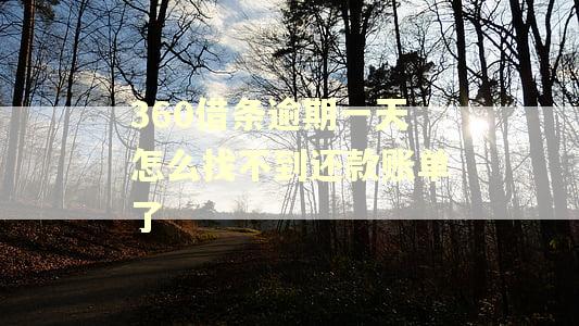 360借条逾期一天怎么找不到还款账单了